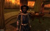 Morrowind-2012-05-18-03-39-59-63